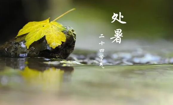 處暑節(jié)氣至