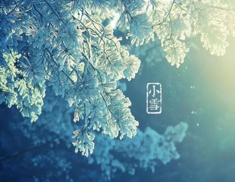 二十四節氣 | 小雪