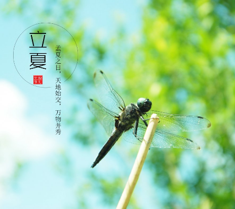 二十四節(jié)氣 | 立夏